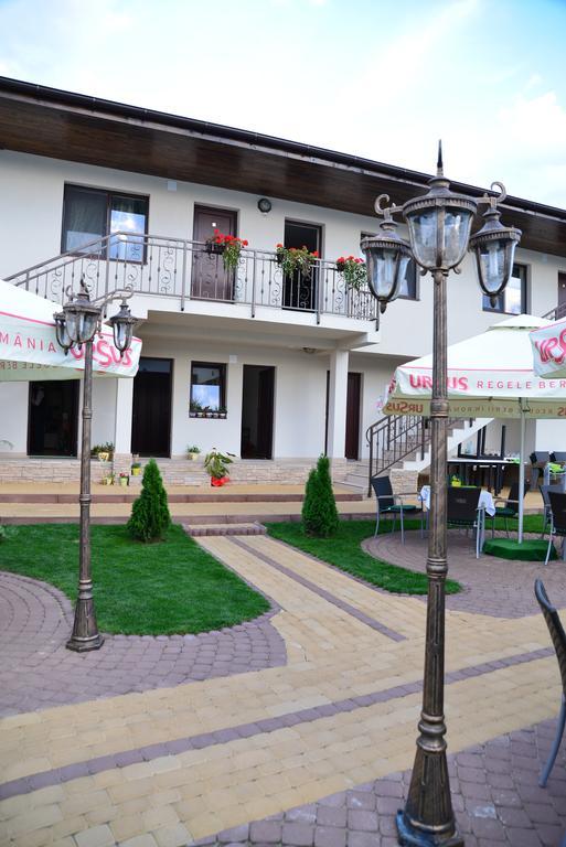 Pensiune Restaurant Flamingo Bed & Breakfast Sighetu Marmaţiei Exterior foto